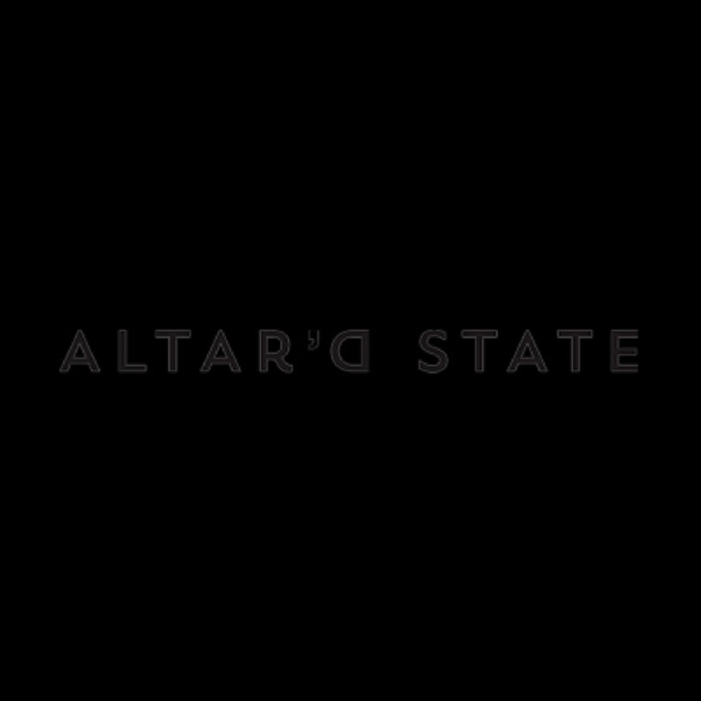 Alterd state necklace and earrings bundle